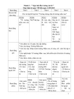 giáo án mầm non theo chủ đề rất hay
