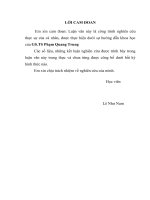 Nâng cao chất lượng thẩm định tài chính dự án trong hoạt động cho vay tại ngân hàng TMCP quân đội   chi nhánh hoàn kiếm 