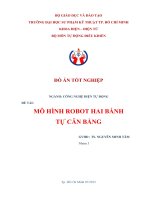 Mô hình robot hai bánh tự cân bằng