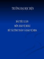 TIEULUAN bao ve ro le