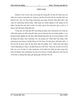 Phát triển hoạt động Video Marketing tại Công ty cổ phần Bluecom Việt Nam