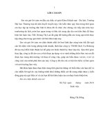 Hoàn thiện chính sách xúc tiến thương mại của công ty TNHH dịch vụ Mekong