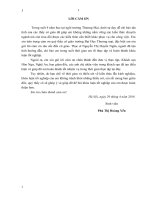 Giải pháp marketing thu hút khách du lịch của Khách sạn Hòn Ngư, Nghệ An