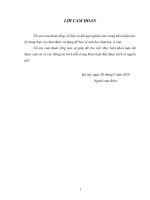 Nghiên cứu tình hình và khả năng tiếp cận thị trường lao động của người lao động nông thôn huyện Thiệu Hóa, tỉnh Thanh Hóa”.