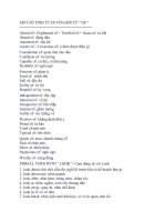 MỘT số TÍNH từ đi với GIỚI từ