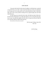 Giải pháp marketing nhằm nâng cao năng lực cạnh tranh của khách sạn Quốc tế Bảo Sơn, Hà Nội