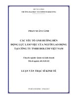 CÁC YẾU TỐ ẢNH HƯỞNG ĐẾN ĐỘNG LỰC LÀM VIỆC CỦA NGƯỜI LAO ĐỘNG TẠI CÔNG TY TNHH HOLCIM VIỆT NAM