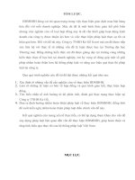 Pháp luật về thực hiện HĐMBHH và thực tiễn thực hiện tại Công ty TNHH Kẻ Gỗ