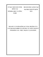 THU HÚT VÀ NUÔI DƯỠNG SỰ TĂNG TRƯỞNG CỦA CÁC DOANH NGHIỆP CÓ VỐN ĐẦU TƯ NƯỚC NGOÀI Ở TỈNH ĐỒNG NAI