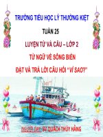 TUAN 25 - LTVC - TU NGU VE SONG BIEN  DAT VA TRA LOI CAU HOI VI SAO?