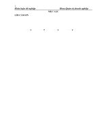 Hoàn thiện triển khai chiến lược phát triển thị trường tại công ty TNHH Vương Việt Anh