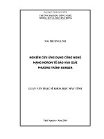 Nghiên cứu ứng dụng công nghệ mạng nơron tế bào vào giải phương trình burger 
