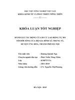 ĐÁNH GIÁ TÁC ĐỘNG CỦA DI CƯ LAO ĐỘNG TỰ DO  TỚI ĐỜI SỐNG CỦA HỘ GIA ĐÌNH XÃ TRUNG TÚ, HUYỆN ỨNG HÒA, THÀNH PHỐ HÀ NỘI