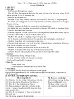 Giáo án ôn thi TNPT- Tuần 4+5