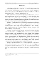 Quản trị tuyến sản phẩm dụng cụ nhà bếp của Công ty Cổ phần GoldSun Việt Nam trên thị trường miền Bắc