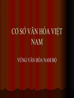 Bài giảng cơ sở văn hóa việt nam   vùng văn hóa nam bộ