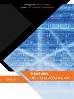 Tham vấn điều trị nghiện ma tuý