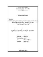 Nghiên cứu đặc điểm bệnh lý, lâm sàng bệnh giun đũa chó ở thành phố thái nguyên   tỉnh thái nguyên và dùng thuốc điều trị 