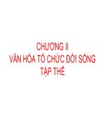 Bài giảng cơ sở văn hóa việt nam   chương 2  văn hóa tổ chức đời sống tập thể