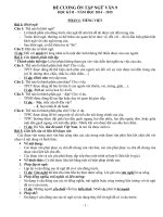 DE CUONG ON TAP NGU VAN 9