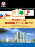 Ebook marketing nguồn tin điện tử (cẩm nang thực hành)   chương 1  xác định mục đích lập kế hoạch của marketing