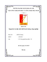 BÁO CÁO VỀ ĐO LƯỜNG VÀ ĐIỀU KHIỂN TỰ ĐỘNG TRONG CÔNG NGHIỆP THỰC PHẨM