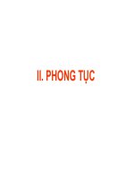 Bài giảng cơ sở văn hóa việt nam   phong tục