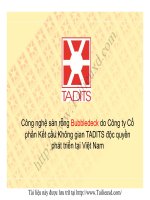 Công nghệ sàn rỗng Bubbledeck do Công ty Cổ phần Kết cấu Không gian TADITS độc quyền phát triển tại Việt Nam