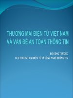 THƯƠNG mại điện tử VIỆT NAM và vấn đề AN TOÀN THÔNG TIN