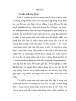 Phát triển kinh tế tư nhân ở việt nam trong điều kiện hội nhập kinh tế quốc tế