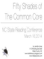 50 shades of the common core for ELA critical thinking for all 1