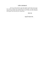 Phát triển kinh tế hộ gắn liền với bảo vệ tài nguyên rừng tại xã chi khê – huyện con cuông – tỉnh nghệ an