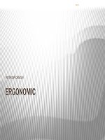 THUYẾT TRÌNH ERGONOMIC