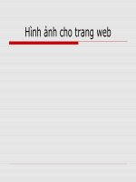 Bài giảng hình ảnh cho trang web