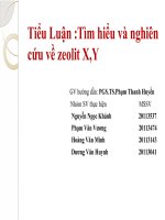 Tiểu luận môn động học xúc tác tìm hiểu và nghiên cứu về zeolit x,y 