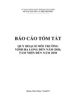 Bao cao tom tat quy hoach moi truong vinh ha long