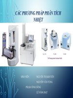 Tiểu luận môn động học xúc tác các phương pháp phân tích nhiệt 