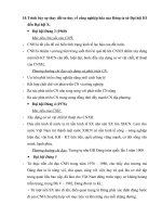 Đề cương đường lối của Đảng cộng sản Việt Nam