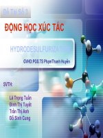 Tiểu luận môn động học xúc tác đề tài hydrodesulfurization 