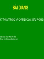 ThS. Phan Anh Thế: Bài giảng Kỹ thuật gieo trồng và chăm sóc cây lạc