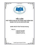 Tiểu luận phát triển và rủi ro thẻ trong hoạt động kinh doanh thẻ tại các ngân hàng thương mại việt nam