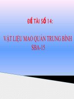Tiểu luận môn động học xúc tác vật liệu mao quản trung bình SBA 15 