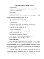 Báo mạng điện tử - tiểu luận cao học