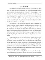 Tiểu luận quản lý nhà nước chương trình chuyên viên chính