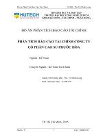 đồ án phân tích báo cáo tài chính cty cp cao su phước hòa