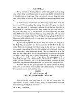 Đề tài vận dụng một số phương pháp thống kê phân tích kết quả hoạt động sản xuất công nghiệp của hà nội thời kỳ 1998 2005 