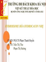 Tiểu luận môn động học xúc tác hydroisome hóa hđrocacon nhẹ 
