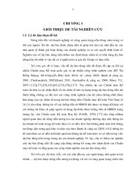 Tiểu luận dự báo dòng tiên hoạt động kinh doanh công ty phi tài chính trên thị trường chứng khoán việt nam 
