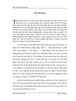 Báo Cáo Thực Tập Tổng Quan Công Ty CP Minh Việt