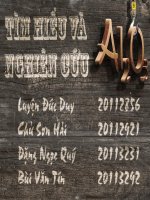 Tiểu luận môn động học xúc tác tìm hiểu và nghiên cứu al2o3 